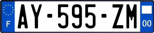 AY-595-ZM