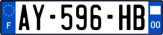 AY-596-HB