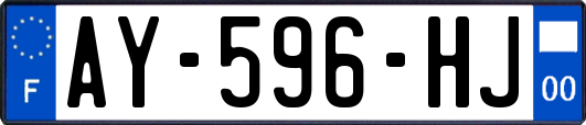 AY-596-HJ