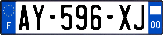 AY-596-XJ