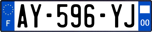 AY-596-YJ