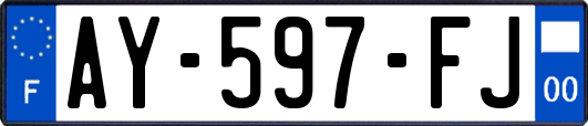 AY-597-FJ