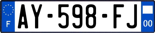 AY-598-FJ