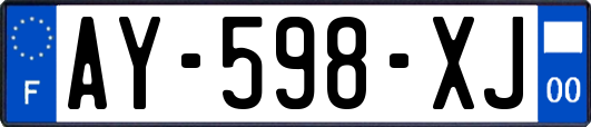 AY-598-XJ