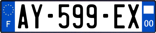 AY-599-EX