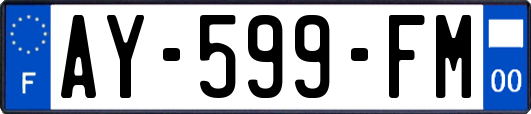 AY-599-FM