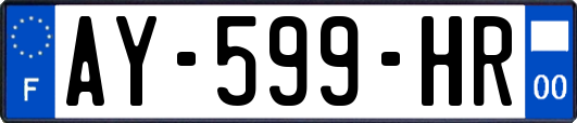 AY-599-HR
