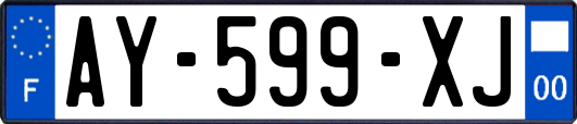 AY-599-XJ