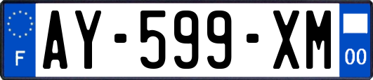 AY-599-XM