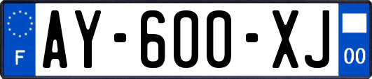 AY-600-XJ