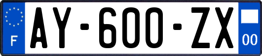 AY-600-ZX
