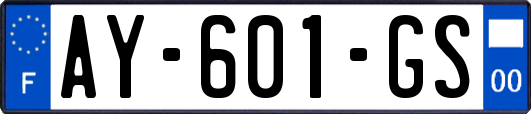 AY-601-GS