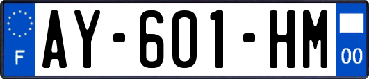 AY-601-HM
