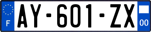 AY-601-ZX