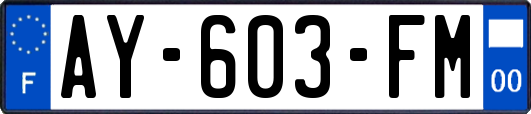 AY-603-FM