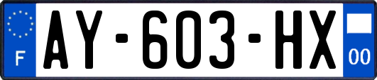 AY-603-HX