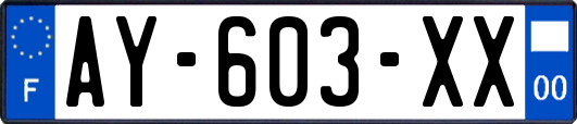AY-603-XX