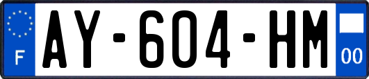 AY-604-HM