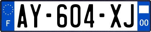 AY-604-XJ