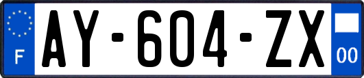 AY-604-ZX