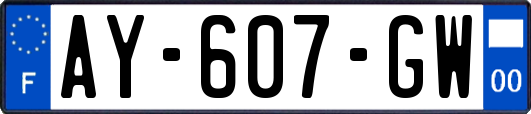AY-607-GW