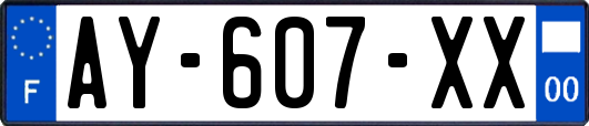 AY-607-XX
