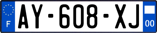 AY-608-XJ