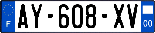 AY-608-XV
