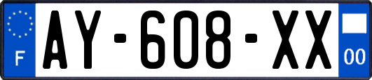 AY-608-XX