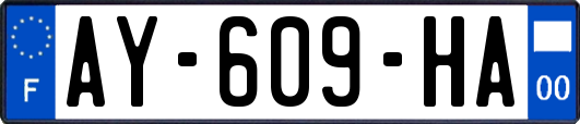 AY-609-HA