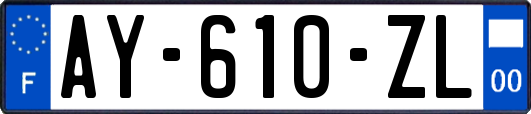 AY-610-ZL