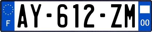 AY-612-ZM