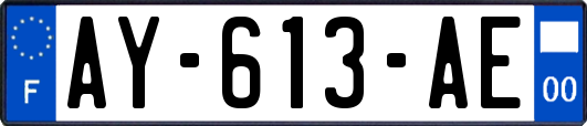 AY-613-AE