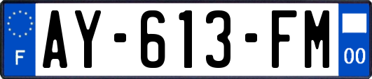 AY-613-FM