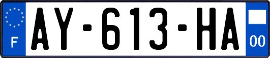 AY-613-HA