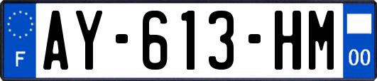 AY-613-HM
