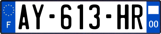 AY-613-HR