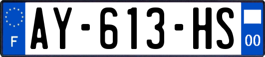 AY-613-HS