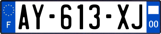 AY-613-XJ