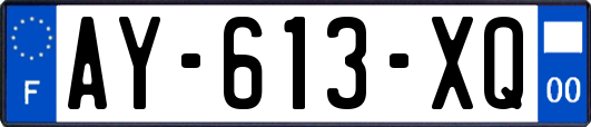 AY-613-XQ