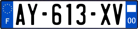 AY-613-XV