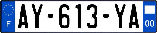 AY-613-YA
