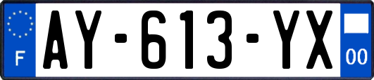 AY-613-YX