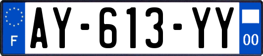 AY-613-YY