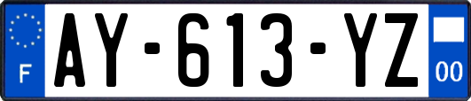 AY-613-YZ