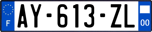 AY-613-ZL