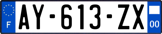 AY-613-ZX