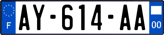 AY-614-AA