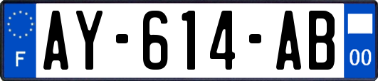 AY-614-AB