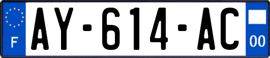 AY-614-AC